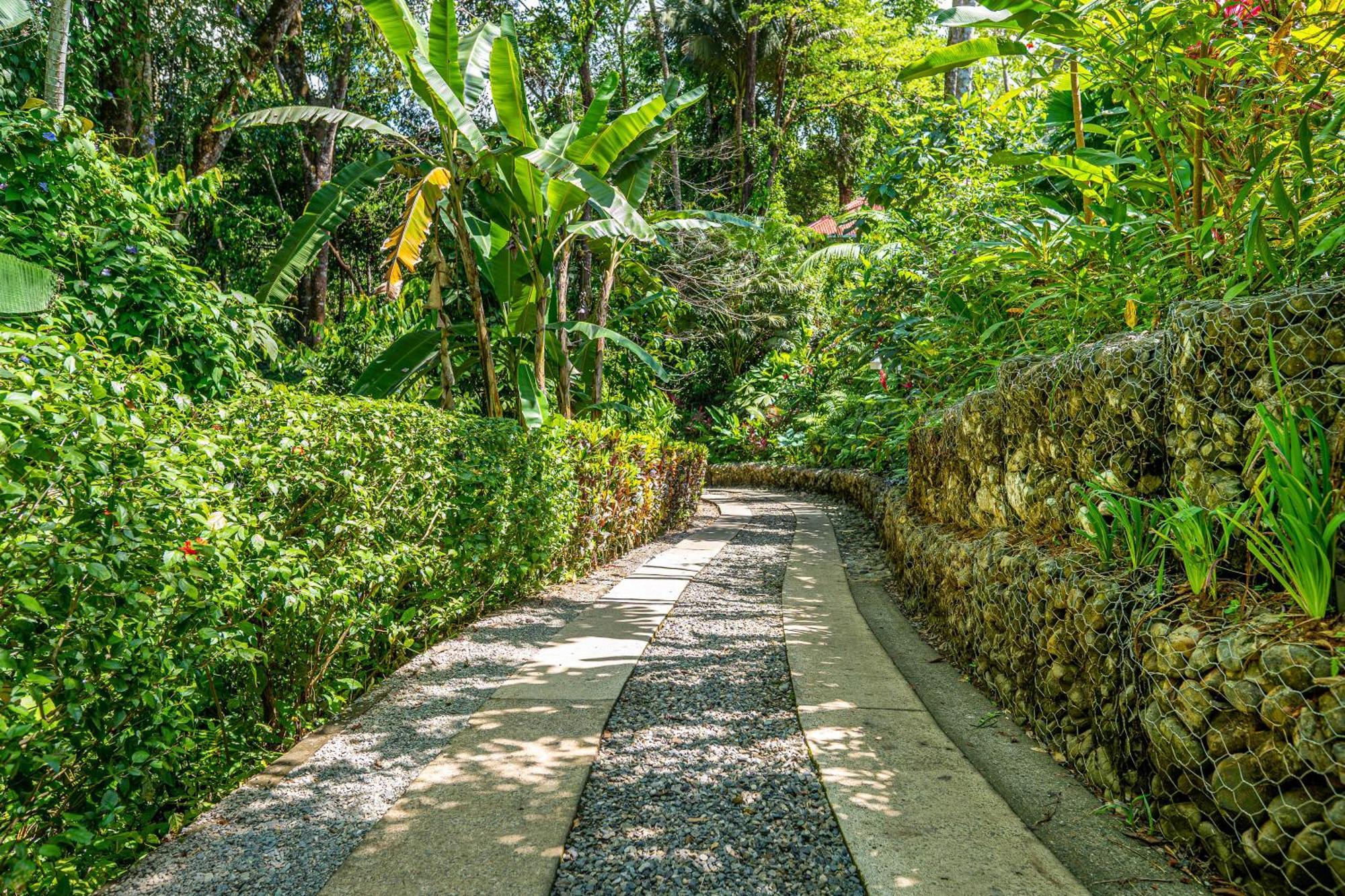 Villas En El Bosque Ojochal Exterior foto
